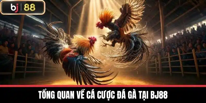Tổng quan về cá cược đá gà tại BJ88