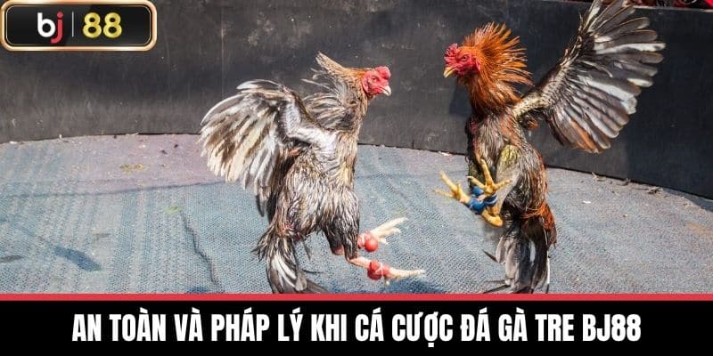An toàn và pháp lý khi cá cược Đá gà tre BJ88