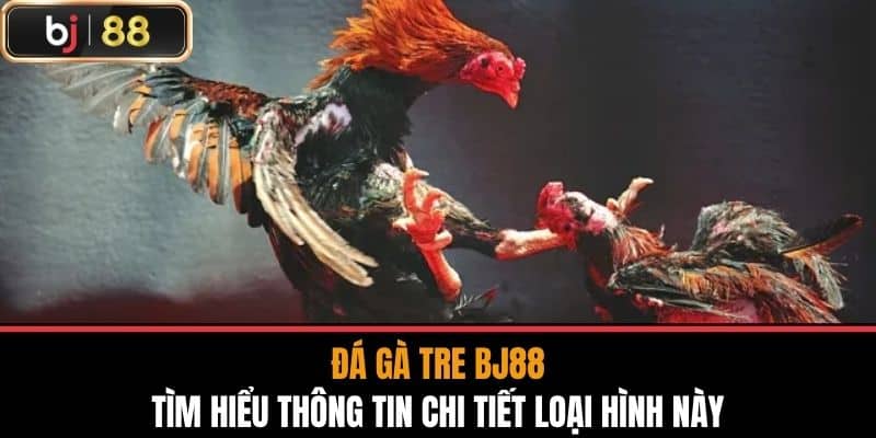 Đá Gà Tre Bj88 - Tìm Hiểu Thông Tin Chi Tiết Loại Hình Này