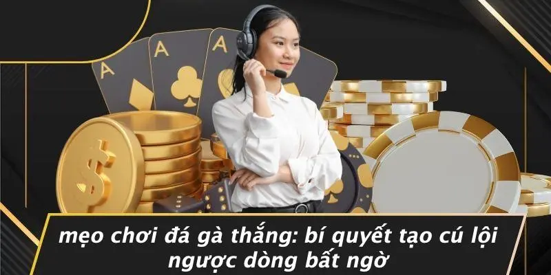 MẸO CHƠI ĐÁ GÀ THẮNG: BÍ QUYẾT TẠO CÚ LỘI NGƯỢC DÒNG BẤT NGỜ 1 MẸO CHƠI ĐÁ GÀ THẮNG: BÍ QUYẾT TẠO CÚ LỘI NGƯỢC DÒNG BẤT NGỜ